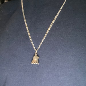 Taylor added a photo of their purchase