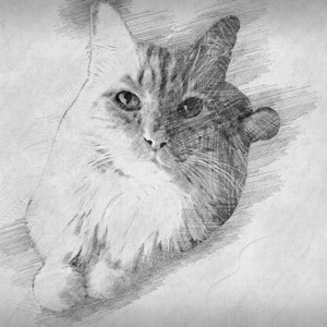 Custom Portrait Sketch From Photo Custom Pencil Drawing | Etsy