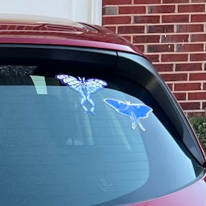 Elizabeth added a photo of their purchase