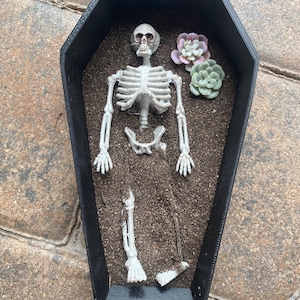 Lori ha añadido una foto de su compra