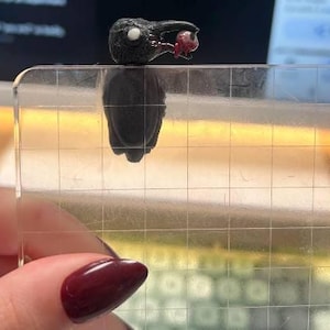 Nadia added a photo of their purchase