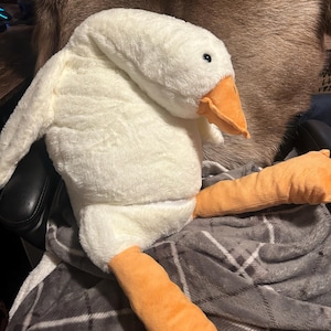 Kaitlyn hat ein Foto des gekauften Artikels hinzugefügt