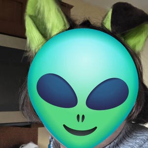 Fin ha añadido una foto de su compra