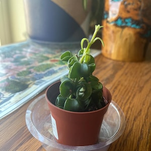 Erik added a photo of their purchase