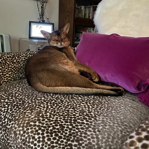 dee-dee added a photo of their purchase