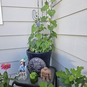 Lindsay added a photo of their purchase