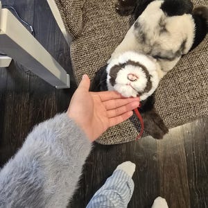 受注生産！在庫なし！重みのあるふわふわのリアルなフェレットの