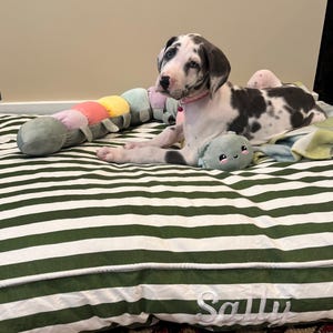 madison added a photo of their purchase
