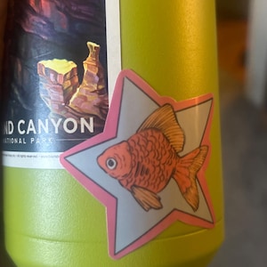 Isabella さんが購入した商品の写真を追加しました