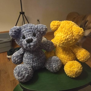 Sue added a photo of their purchase