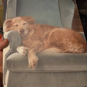 Daniel ha añadido una foto de su compra