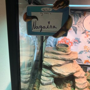 Dakota ha añadido una foto de su compra