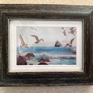 Tara added a photo of their purchase