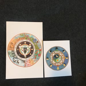 Chat added a photo of their purchase