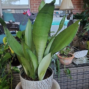 Myra added a photo of their purchase