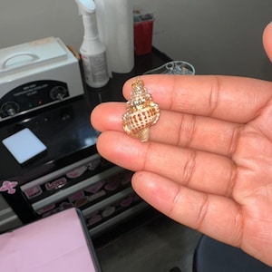 December added a photo of their purchase