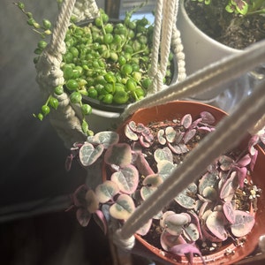 Abby added a photo of their purchase