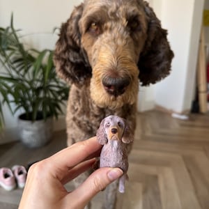 Caitlin added a photo of their purchase