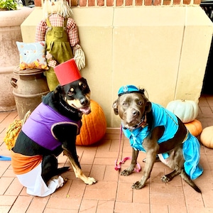 tortoise table lights
