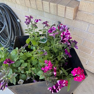 Stained Glass Iridescent Snail Plant Stake, Aquamarine Snail Garden Art, ShellysGlassStudio