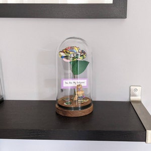 David added a photo of their purchase