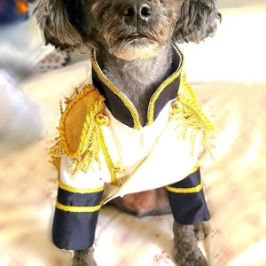 Dog prince top charming costume