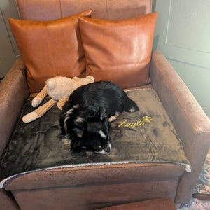 Steve added a photo of their purchase