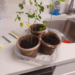 Beverly added a photo of their purchase