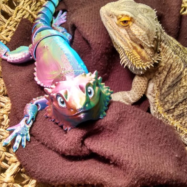 Articulating Bearded Dragon Baby/adult 80 Colors Flexible 