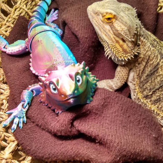 Articulating Bearded Dragon Baby/adult 80 Colors Flexible 