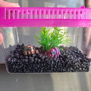 Dora added a photo of their purchase