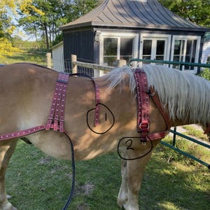 Leslie added a photo of their purchase
