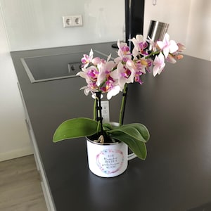 Tanja ha añadido una foto de su compra