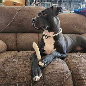 Kiffney added a photo of their purchase