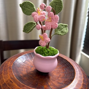 JODI added a photo of their purchase