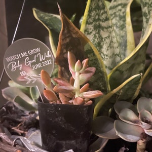 Etsy buyer added a photo of their purchase