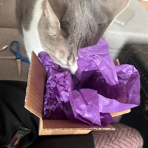 Kit ha aggiunto una foto del proprio acquisto
