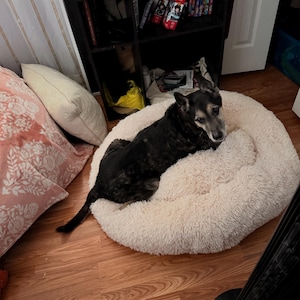 Jolissa added a photo of their purchase