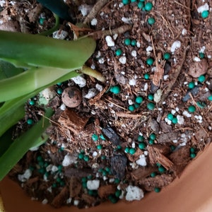 succ added a photo of their purchase