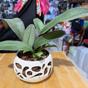 Christine added a photo of their purchase