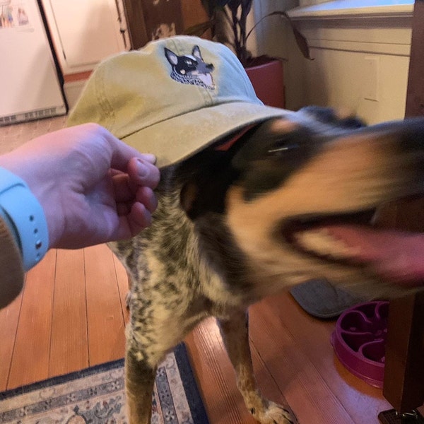 AUSTRALIAN CATTLE Dog Hat - Embroidered Men Women Baseball Cap - Price ...
