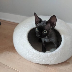 Sebastien added a photo of their purchase