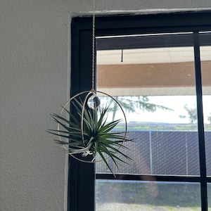 Diana added a photo of their purchase