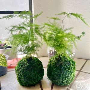 Sarah ha aggiunto una foto del proprio acquisto