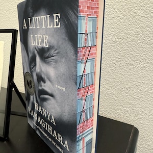 A Little Life by Hanya Yanagihara: Hand-Painted Hardcover Book