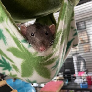 Ellen added a photo of their purchase