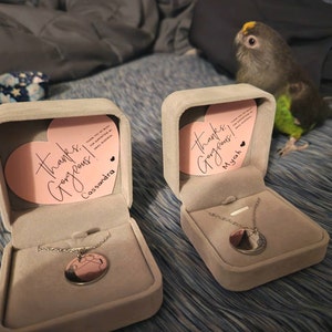 Delaney added a photo of their purchase