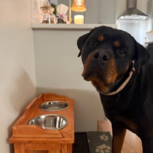 Jaelyn ha aggiunto una foto del proprio acquisto