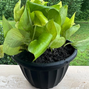 Tammy added a photo of their purchase