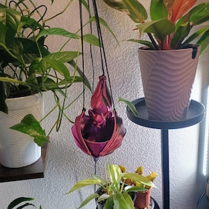 Lydia added a photo of their purchase